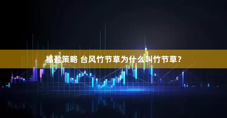 福盈策略 台风竹节草为什么叫竹节草？